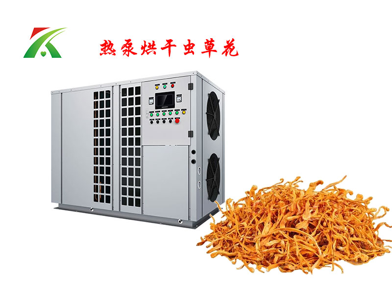 熱泵烘干蟲草花